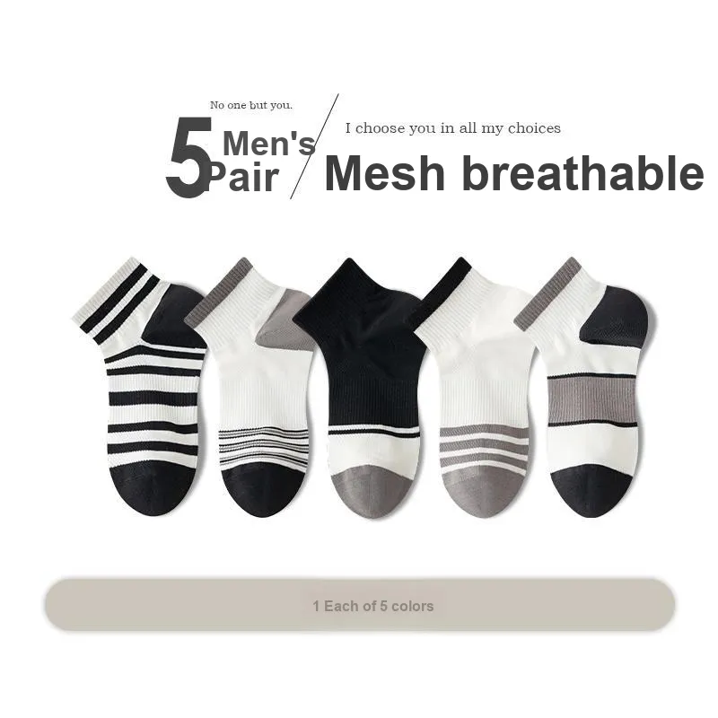 Lan Miao Mid Calf Socks Men's 5 Pack-6