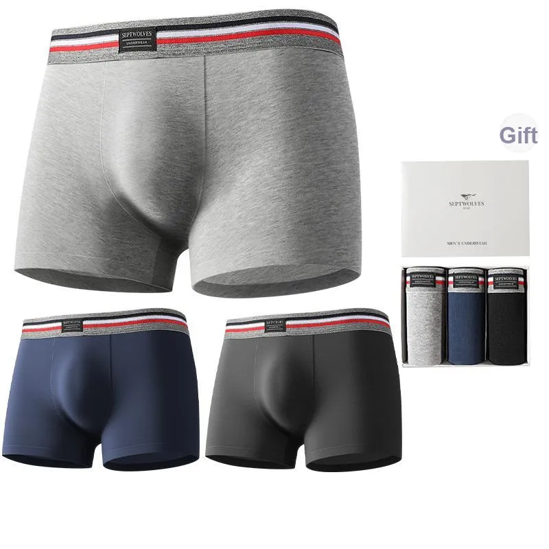 SEPTWOLVES Underwear Gift Box Men's-0