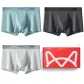 Light Blue/Dark Gray/Fruit Green