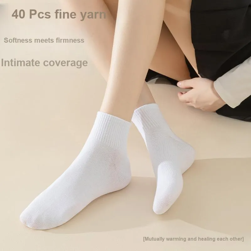 Montagut Mid Calf Socks Women's Box 6 Pack-49