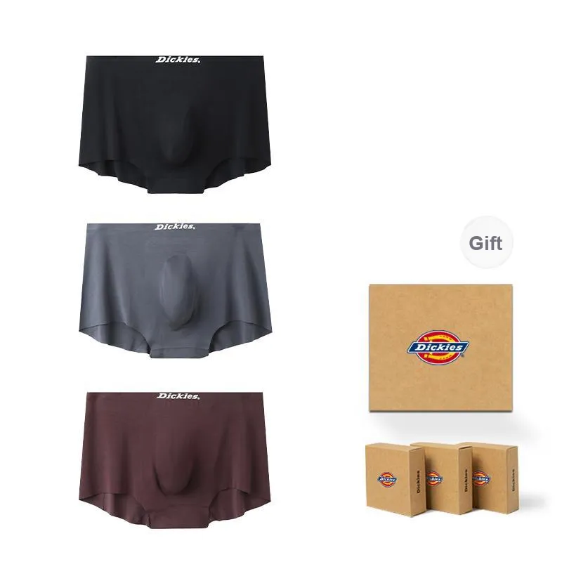 Dickies Underpants Men's Box 3 Pack-0