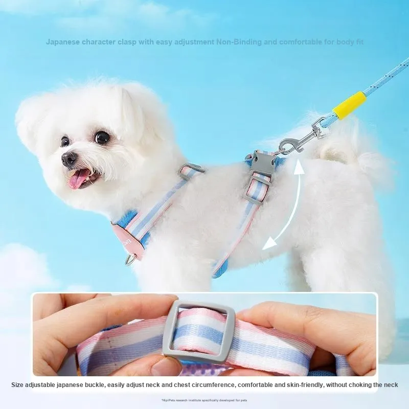 Hippie dogs Leashes-3