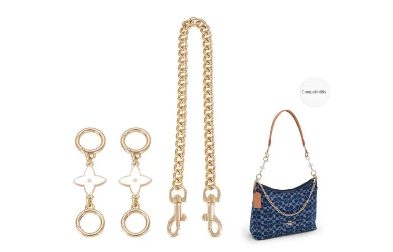 Lan Bao Fan Alloy, Metal, Chain, DuPont Paper Liner Bag Accessory Unisex Gold-40