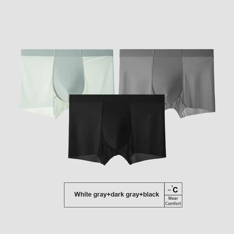 Icolor Men Underpants-1