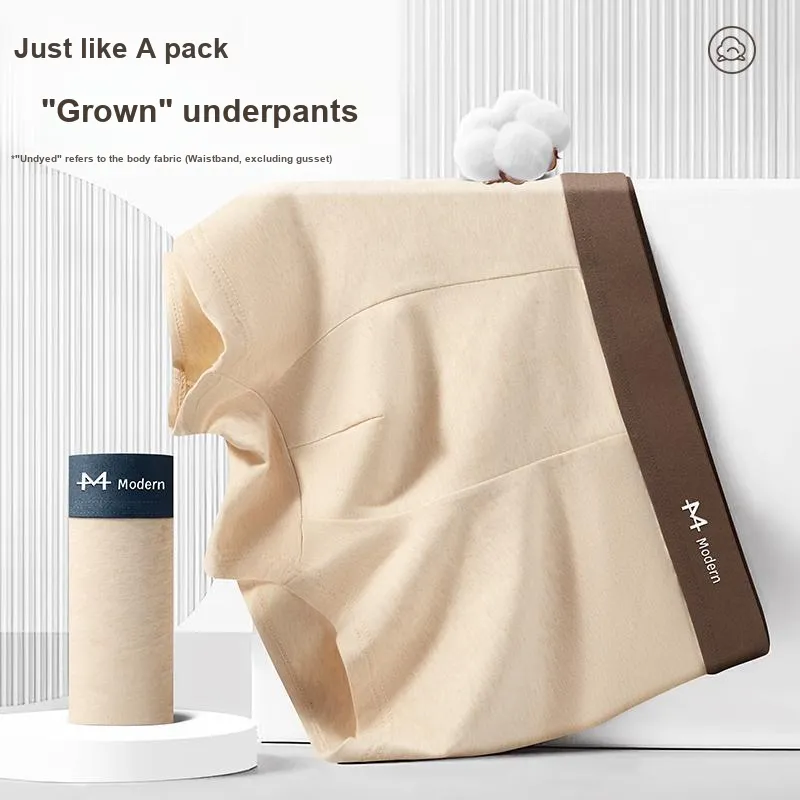Qiao Ni Tong Underpants Men's Combo Set-13