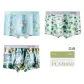 3 Pack[Lemon Ice Cubes+Lucky Clover+Oil Paint]