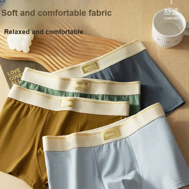 MADALLO Underpants Men's Combo Set-2
