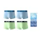 Light Blue X2+Light Green X2 (Box 4 Pack)