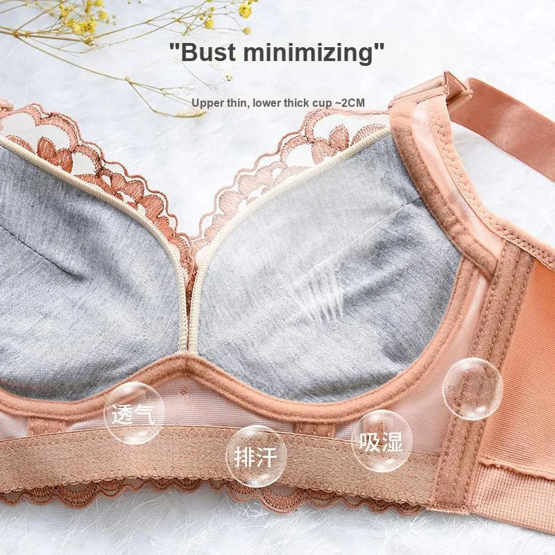 Lanza The Year Of The Dragon Series Bra Women's 1 Pack-249