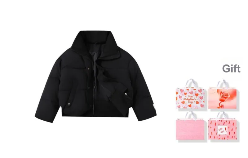 LSVE Fall And Winter Puffer Jacket Women's-4