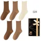 Dark Coffee *2 Khaki *2 Beige (5 Pack)