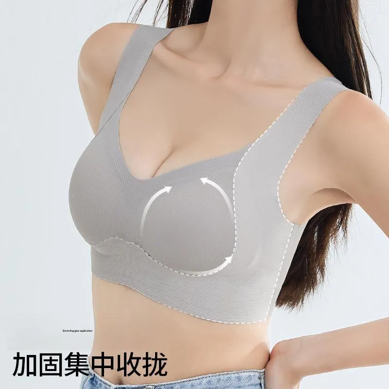 Master Women's Bras-14