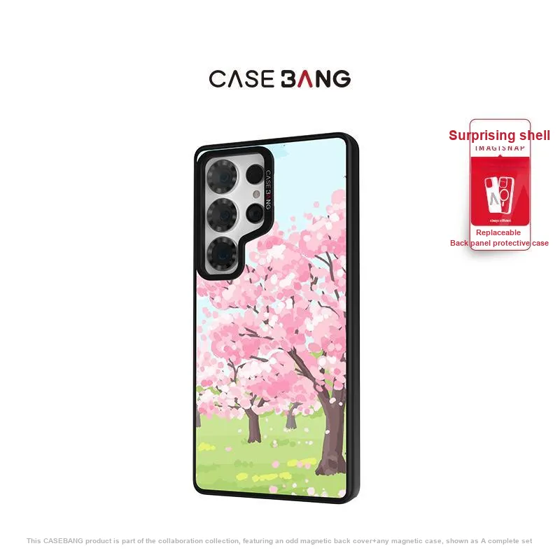 CASEBANG Phone Cases-11