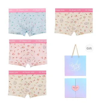 Maiden House Underpants Men's Gift Box Set Of 4