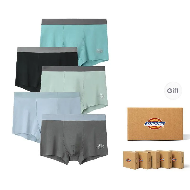 Dickies Underpants Men's Modal Cotton Premium Flat Box Combo Set-19