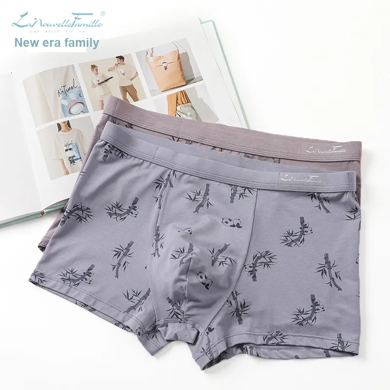 The New Age Family Underpants Men's 2 Pack-2