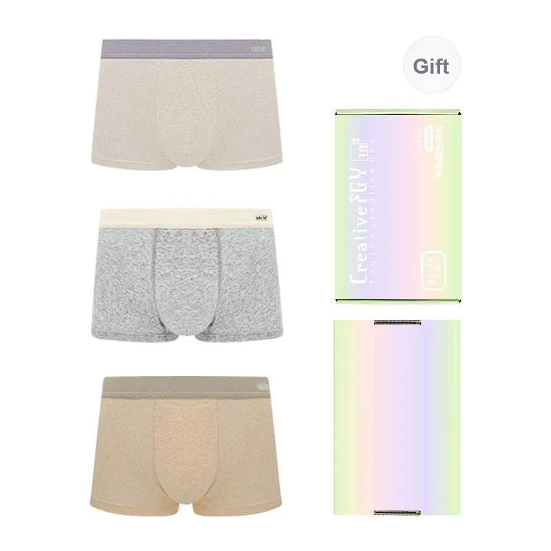 FGY FUGUYU Underwear Gift Box Men's Box 3 Pack-6