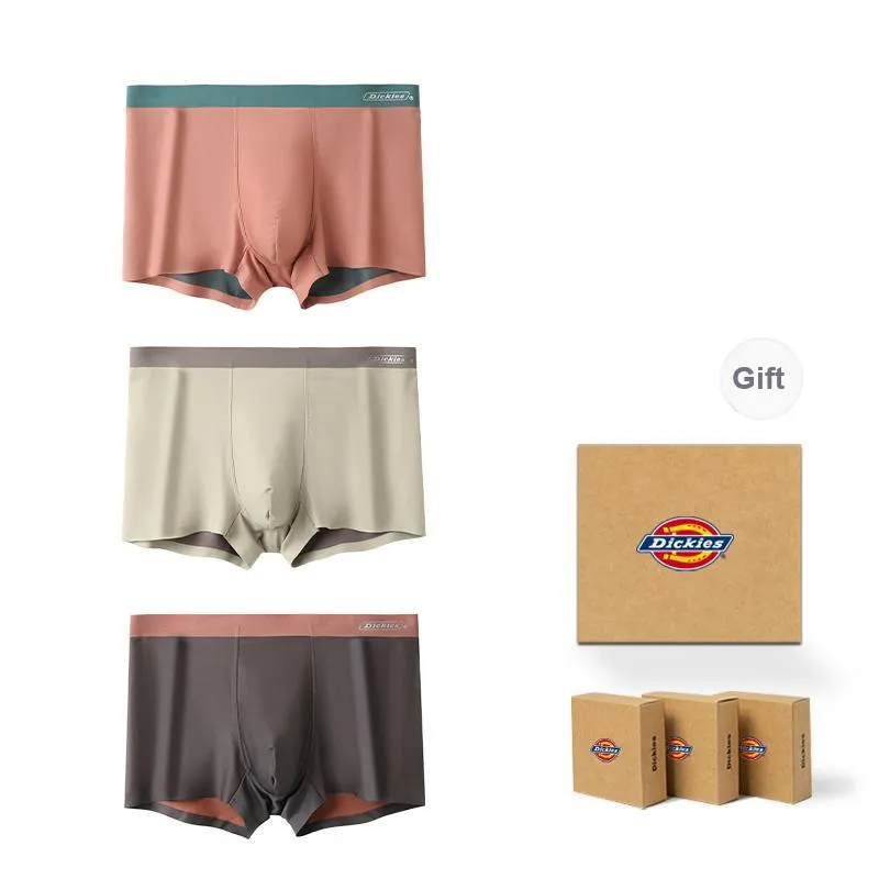 Dickies Underpants Men's Box 3 Pack-6