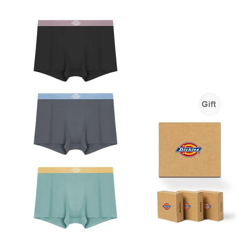 Dickies Underpants Men's Box 3 Pack-31