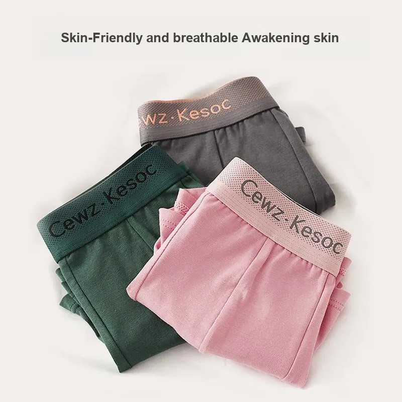 Close-fitting Areas Underpants Men's 3 Pack-2