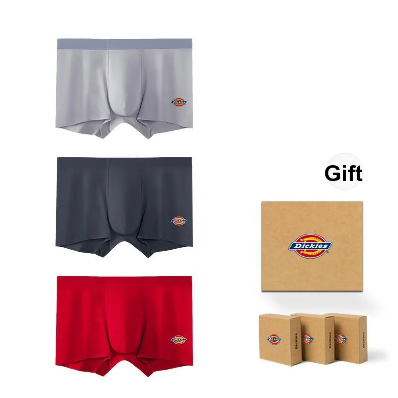 Dickies Underpants Men's Box 3 Pack-30