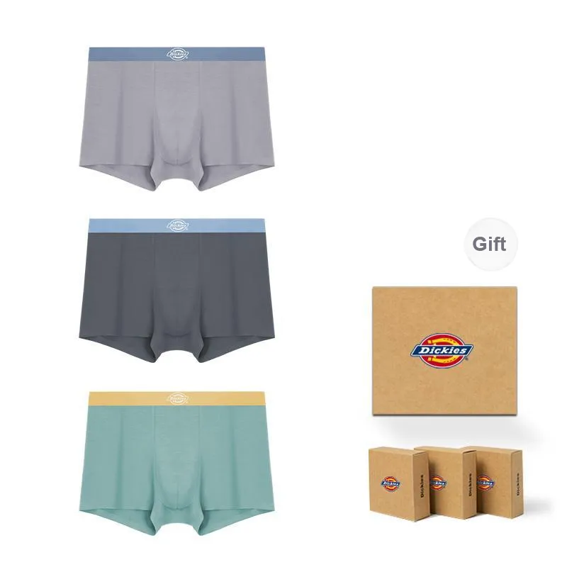 Dickies Underpants Men's Box 3 Pack-34