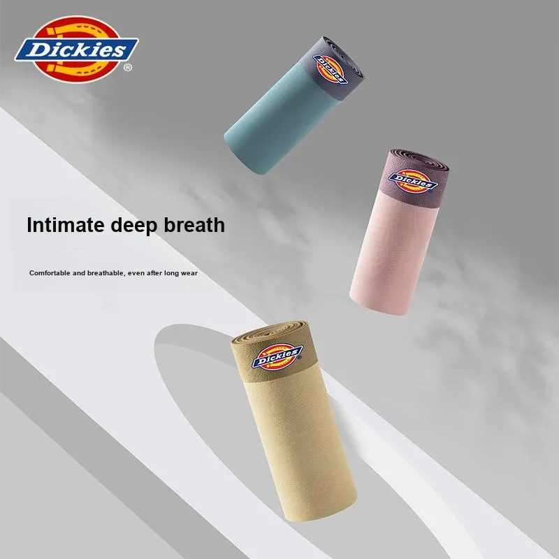 Dickies Underpants Men's Box 3 Pack-5