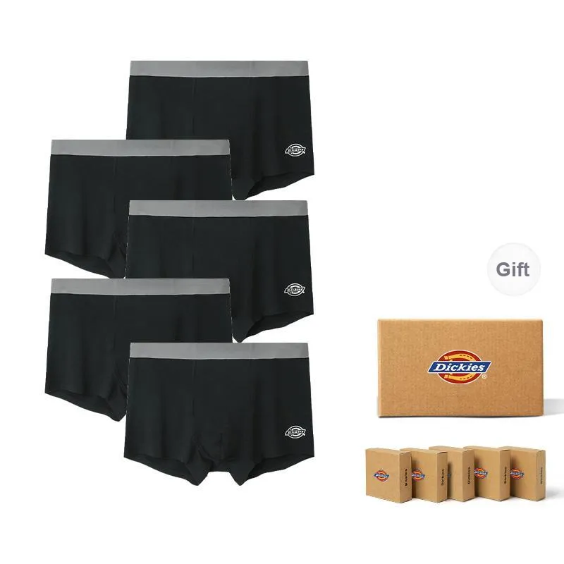 Dickies Underpants Men's Modal Cotton Premium Flat Box Combo Set-15