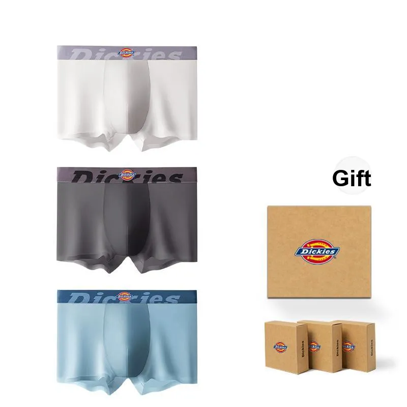 Dickies Underpants Men's Box 3 Pack-1