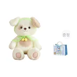 레인코트 강아지 [쇼핑백 포함]