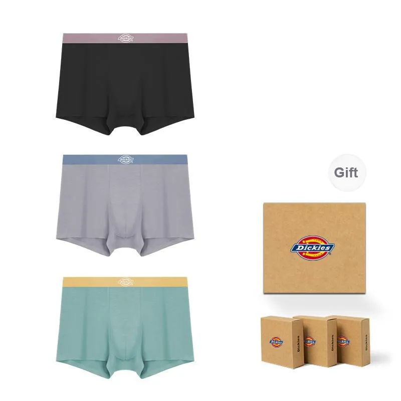 Dickies Underpants Men's Box 3 Pack-30