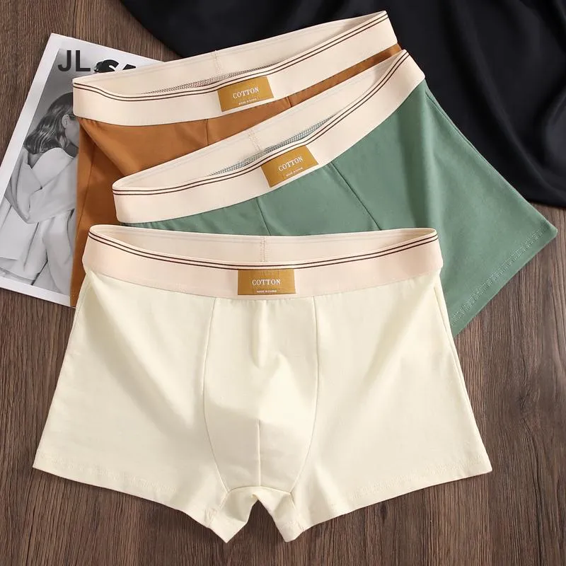 GOSO Underpants Men's Combo Set-9