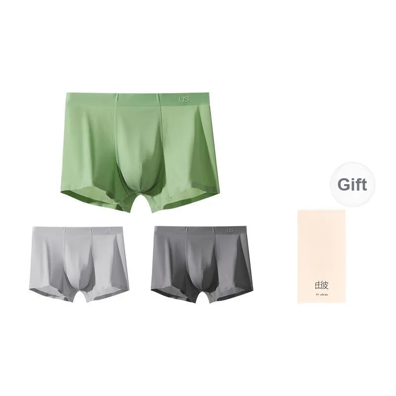 Ubras Men Underpants-22