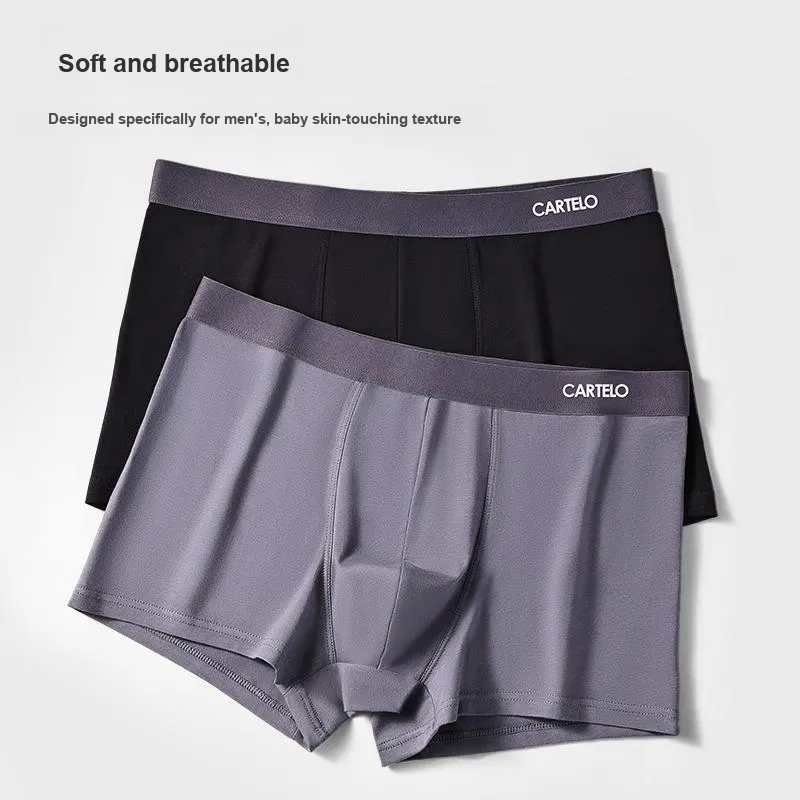 CARTELO Underpants Men's 4 Pack-3