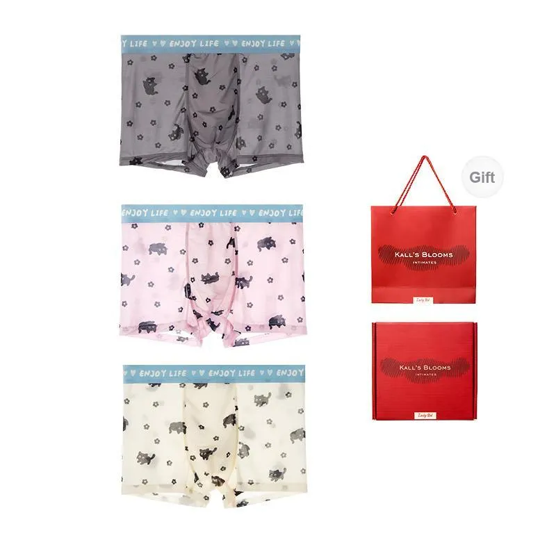 Maiden House Underwear Gift Box Men's Box 3 Pack-8