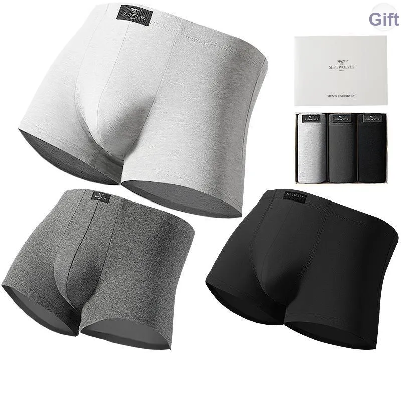 SEPTWOLVES Underwear Gift Box Men's-5