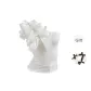White+Bowknot Hair Tie (Comes with)