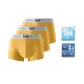 Warm Mango Yellow+Warm Mango Yellow+Warm Mango Yellow (Refined Box 3 Pack)