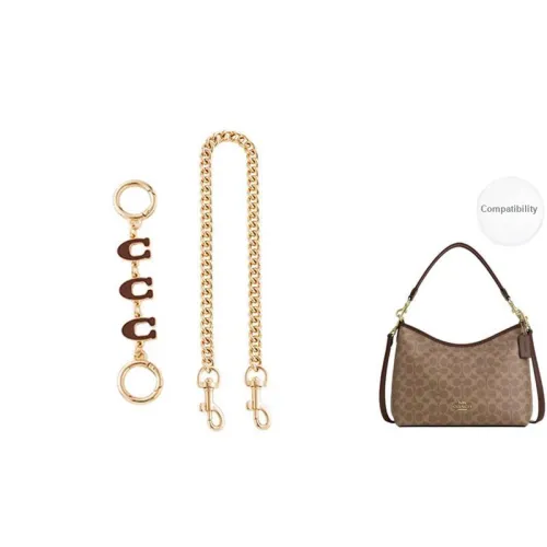 Luxury Care Artisan Workshop Metal Bag Accessories Women's Brown