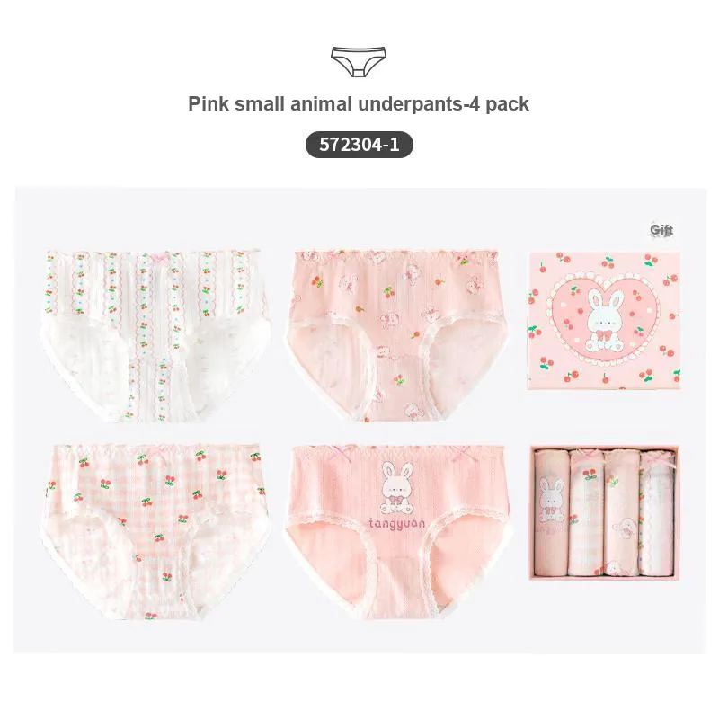 Caramella Underpants Women's 4 Pack-1