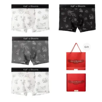 Maiden House Underwear Gift Box Men's Box 4 Pack