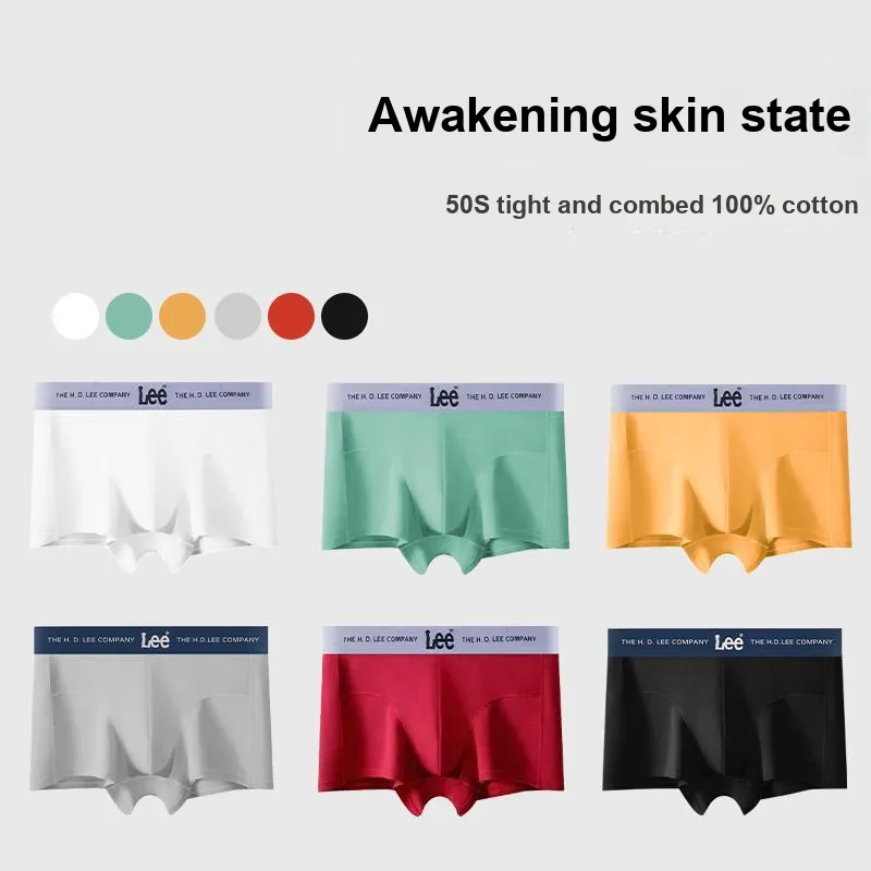 Lee Classic 101 Underpants Men's Box 4 Pack-9