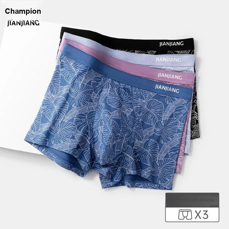 Master Men Underpants-1