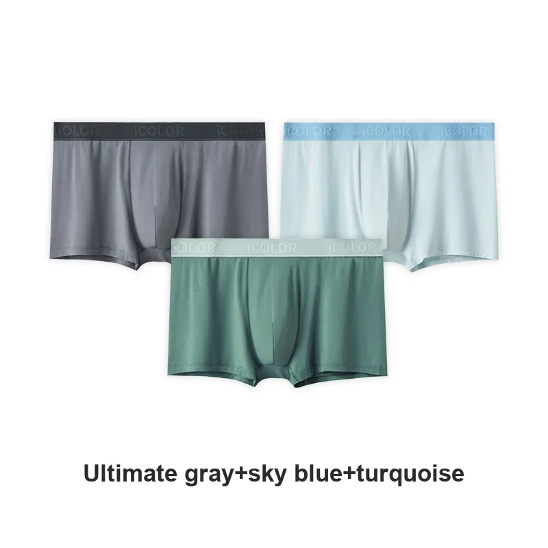Icolor Men Underpants-13
