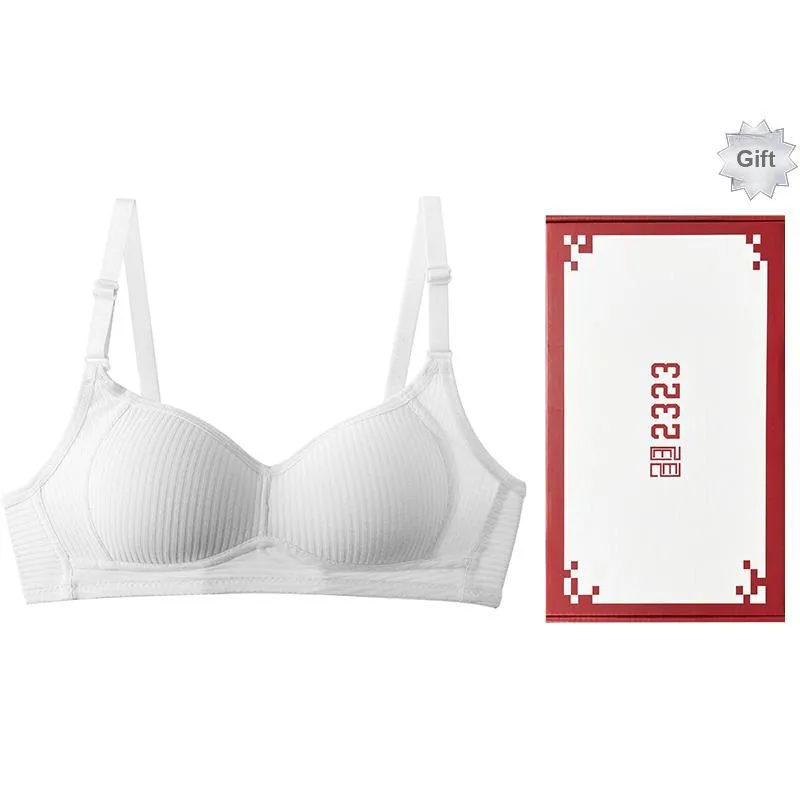 2323 Women's Bras-0