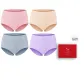 Light Pink-Skin-Gray Blue-Light Purple