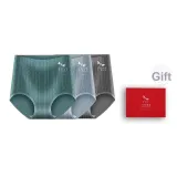 Gray Green+Gray Blue+Light Gray