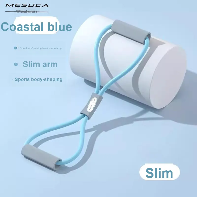 MESUCA Resistance Bands-1