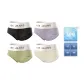 Champagne+Purple+Green+Black (Box 4 Pack)