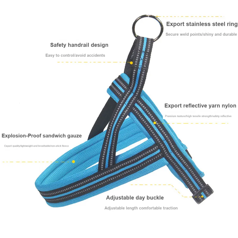 Kimpets Leashes-2